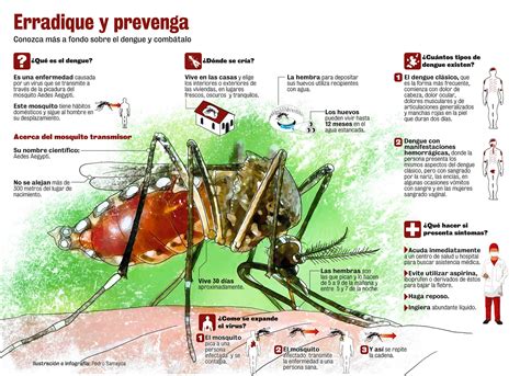 dengue pdf